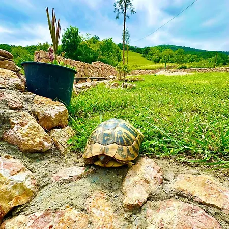 Prázdninový dům Casa Nuova Tekija - Kladovo *